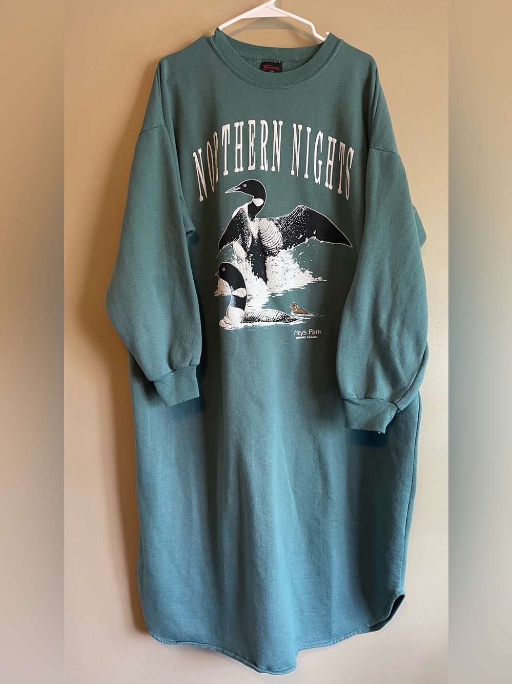 Vintage 90’s Thunderbird Northern Lights Loon Graphic Crewneck Sweater Dress